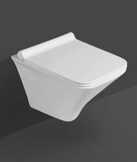 Rimless Wall Hung Toilet - best price top model range.